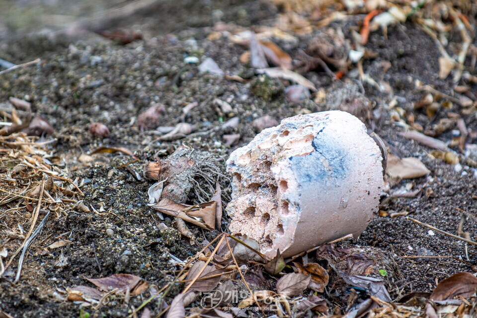 선한장로회, 이웃사랑 연탄 배달 나눔 행사 모습